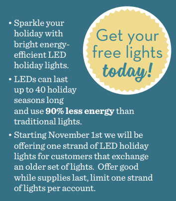 Bring in a strand of holiday lights to recycle and get a set of LED lights for free!